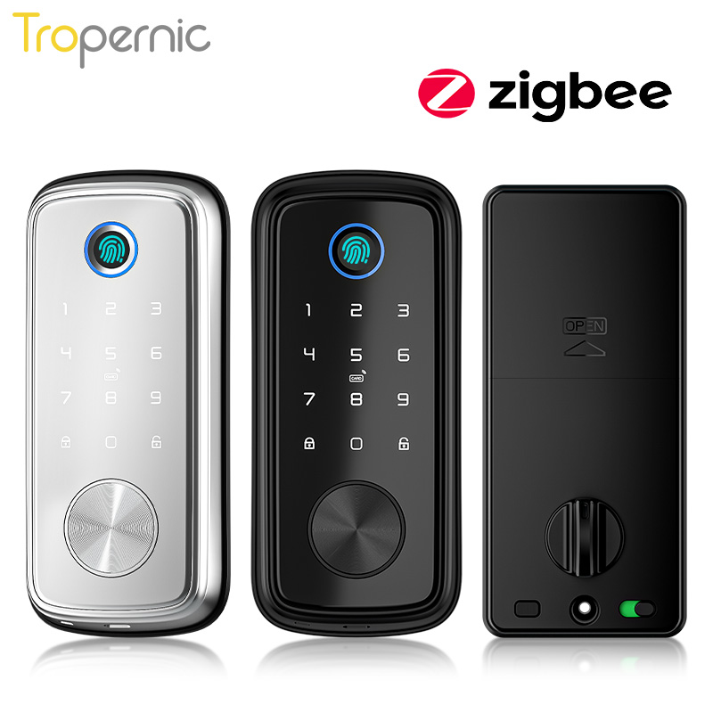 Smart Door Lock Wifi - Tuya Zigbee-Serrures à pêne dormant de