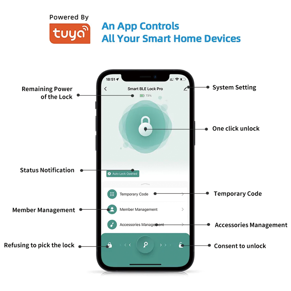 TYSH Tuya Smart Sécurité autom - Smart Door Lock Wifi avis et prix